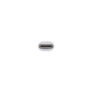 Adapteris Apple Multiport USB-C-VGA