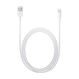 Cable Lightning USB Apple (2 m)