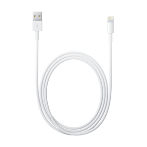 Laidas Apple Lightning USB, 2m