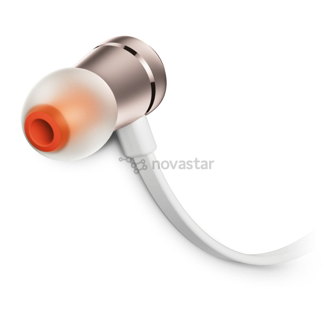Ausinės JBL T290