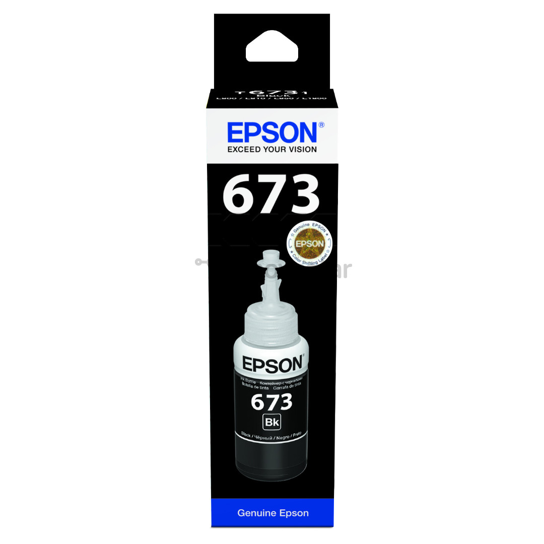 Ink bottle Epson T6731 (black)