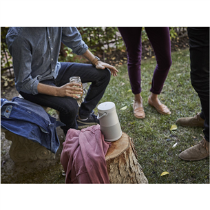 Belaidė kolonėlė Bose SoundLink Revolve+, Pilka