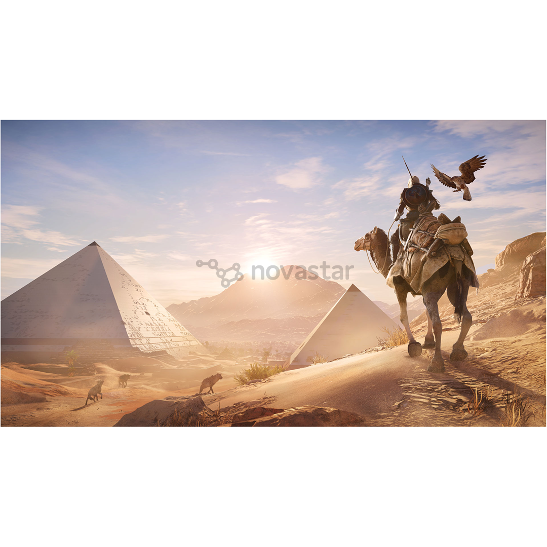 Žaidimas PS4 Assassin's Creed: Origins