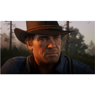 Žaidimas PS4 Red Dead Redemption 2