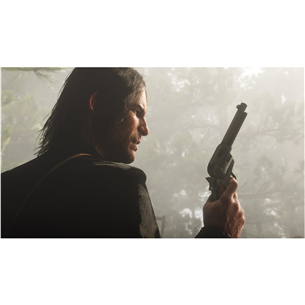 Žaidimas PS4 Red Dead Redemption 2