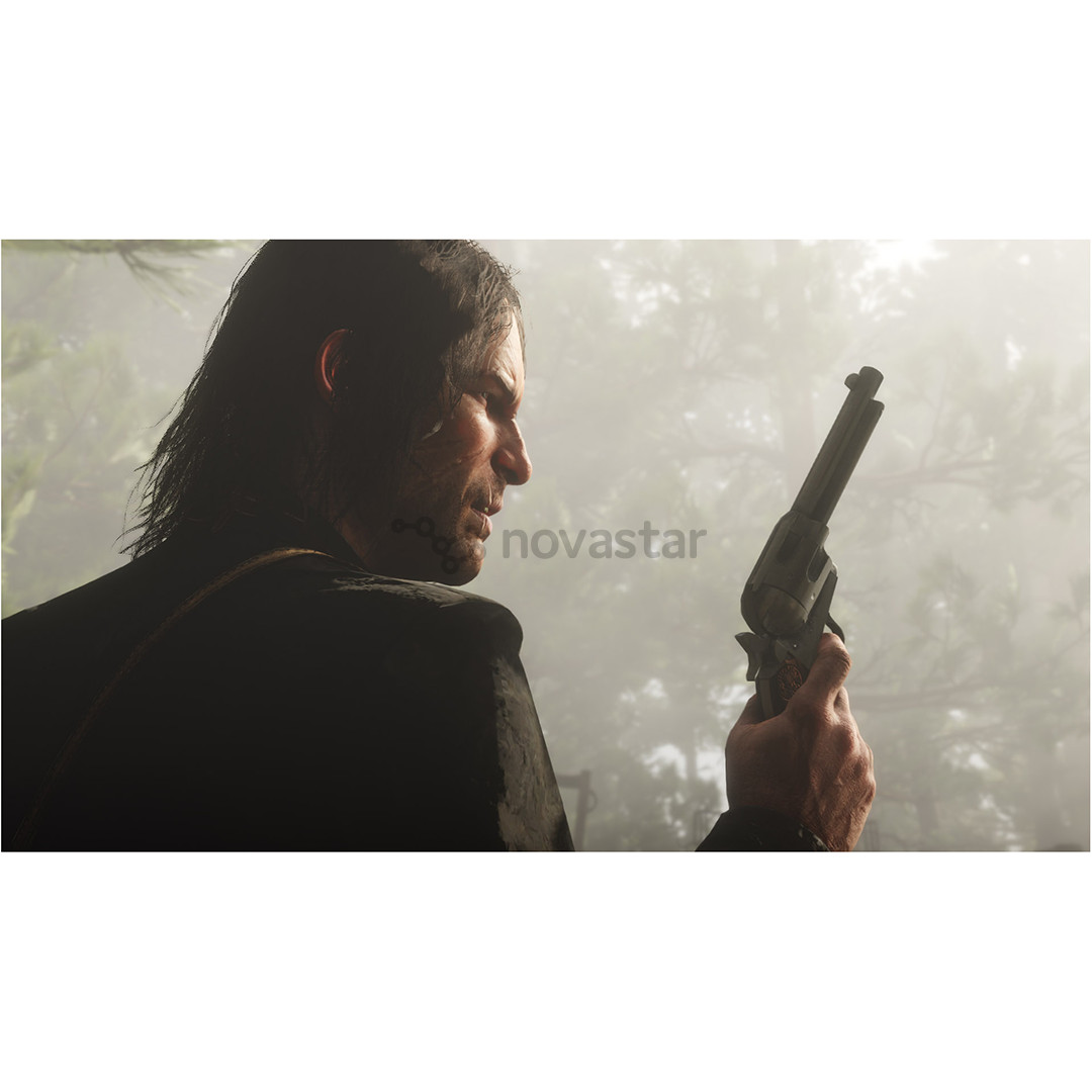 PS4 Red Dead Redemption 2 - Žaidimas