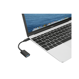 Adapteris Trust USB-C / USB 3.1, 20967