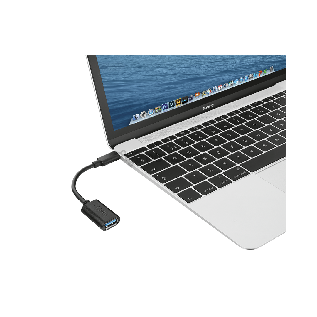 Adapteris Trust USB-C / USB 3.1, 20967