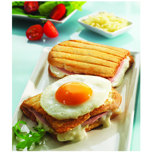 Tefal Snack Collection - Toasted sandwich plates
