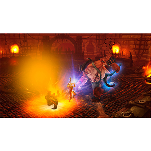 Žaidimas PS4 Diablo 3: Eternal Collection