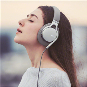 Ausinės Sony MDR-1AM2, Sidabrinės