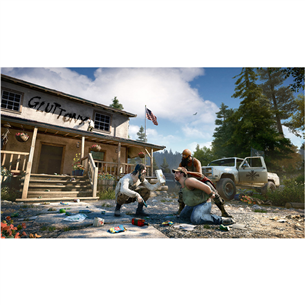 Žaidimas PS4 Far Cry 5
