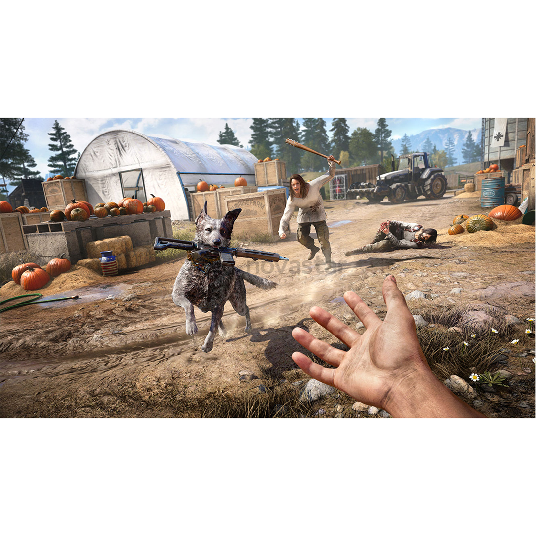 Žaidimas PS4 Far Cry 5