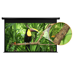 Projektoriaus ekranas Elite Screens Electric 100"