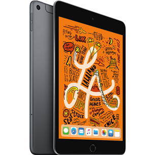 Planšetinis kompiuteris Apple iPad mini (2019) 7.9" LTE, 64GB, Pilkas