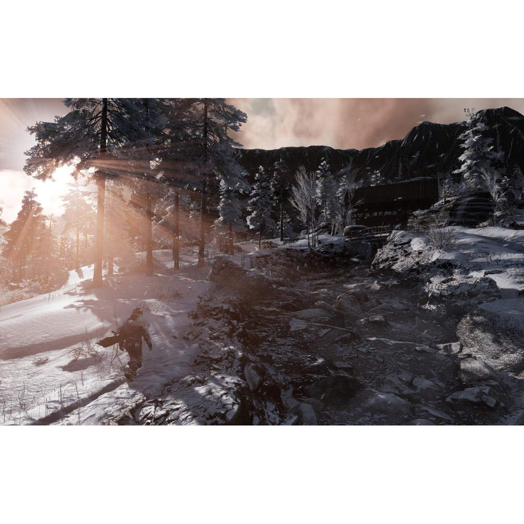 Žaidimas PC Fade to Silence