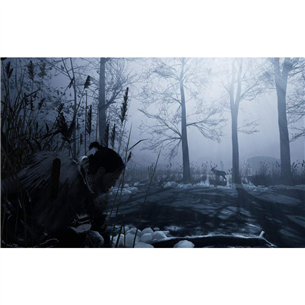 Žaidimas PC Fade to Silence