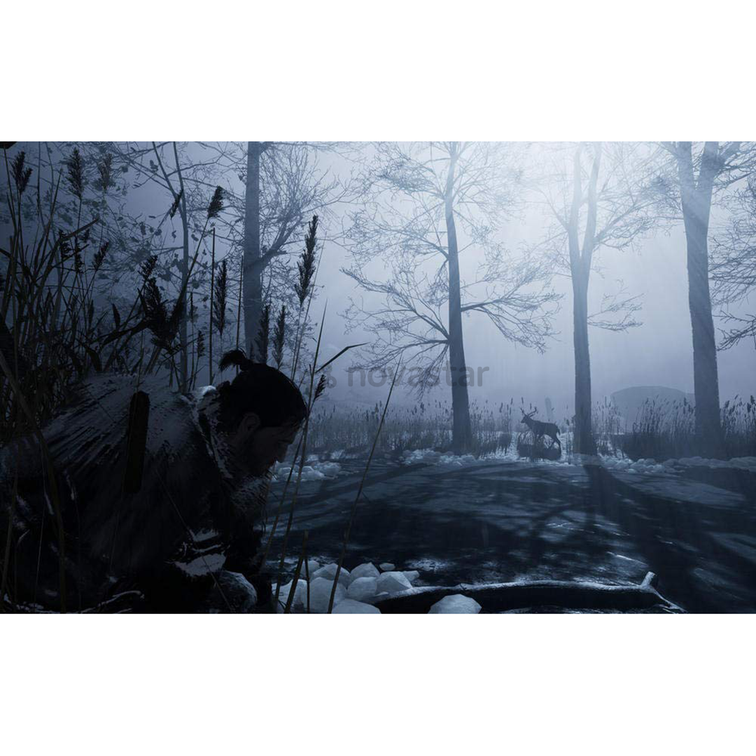 Žaidimas PC Fade to Silence
