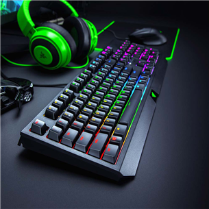 Klaviatūra Razer BlackWidow Green Switch, Nordic, Laidinė