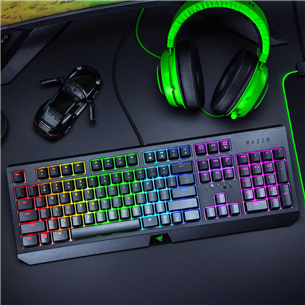 Klaviatūra Razer BlackWidow Green Switch, Nordic, Laidinė