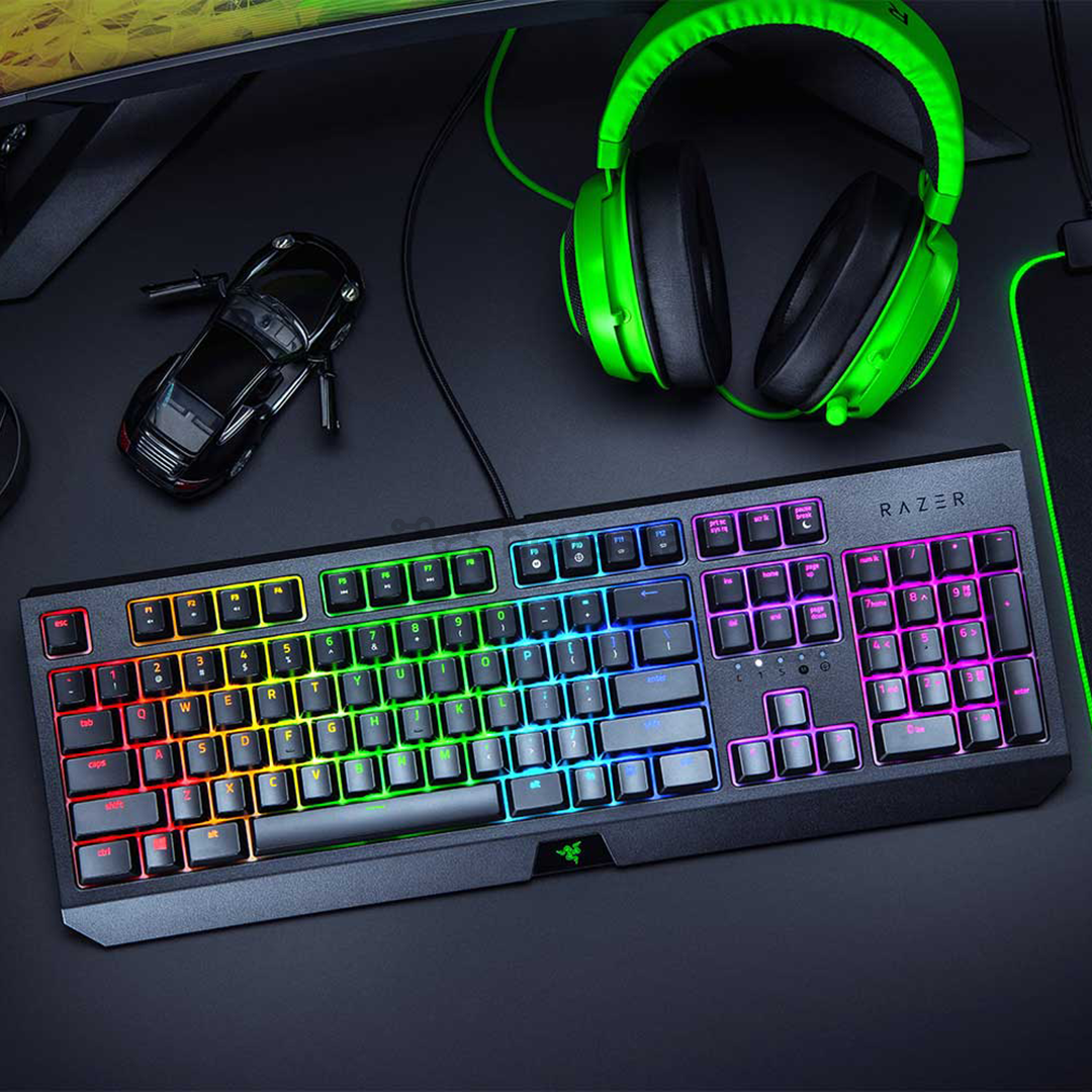 Klaviatūra Razer BlackWidow Green Switch, Nordic, Laidinė