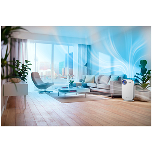 Oro valytuvas Philips AC4550/50