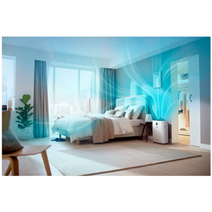 Oro valytuvas - drėkintuvas Philips AC2729/50