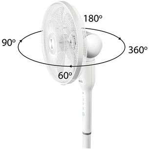 Fan 2in1 ECG