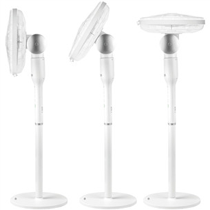Fan 2in1 ECG