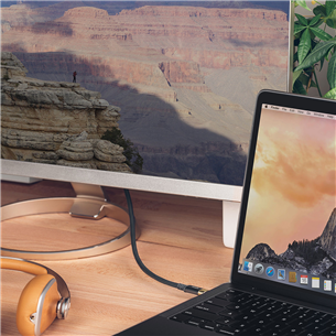 Laidas Moshi USB - C Gbps, 1m