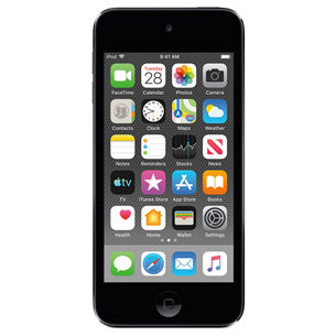 Apple iPod Touch 2019, 32GB, Pilkas