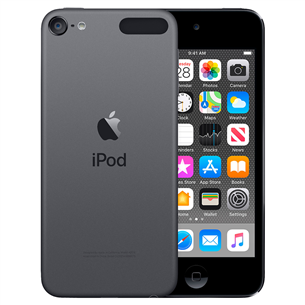Apple iPod Touch 2019, 32GB, Pilkas