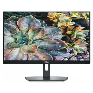 Monitorius Dell SE2219H