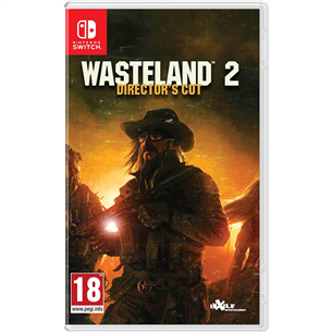 Žaidimas Nintendo Switch Wasteland 2 Director's Cut