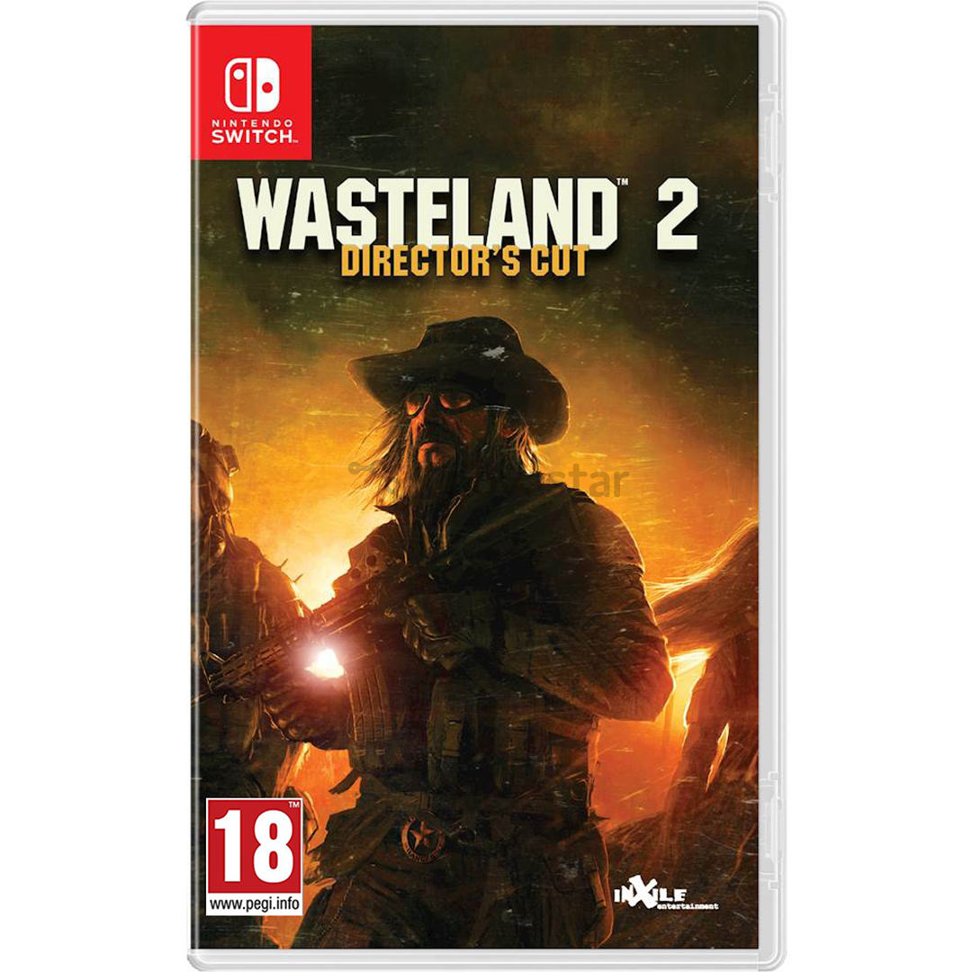 Žaidimas Nintendo Switch Wasteland 2 Director's Cut