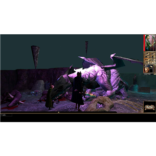 Žaidimas Nintendo Switch Neverwinter Nights