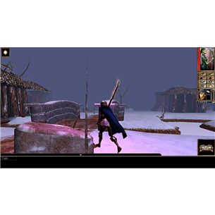 Žaidimas Nintendo Switch Neverwinter Nights