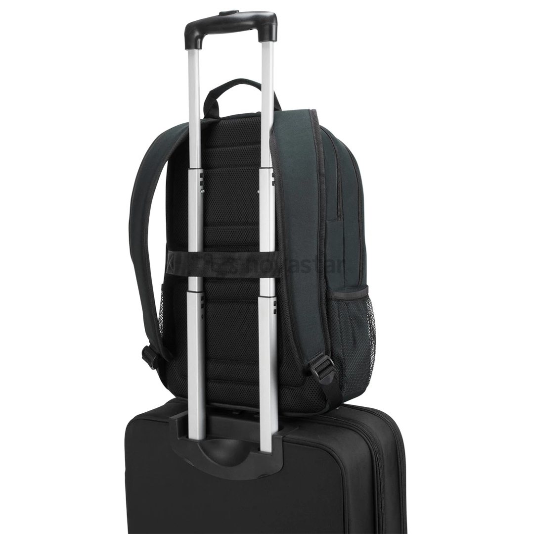 Nešiojamo kompiuterio kuprinė Targus GeoLite Advanced 12,5-15,6"