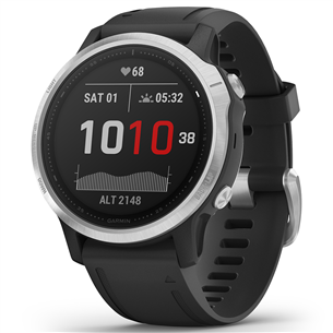 Išmanusis laikrodis Garmin fēnix 6s Standard, GPS, Silver/Black