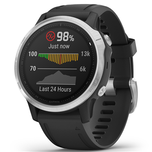 Išmanusis laikrodis Garmin fēnix 6s Standard, GPS, Silver/Black
