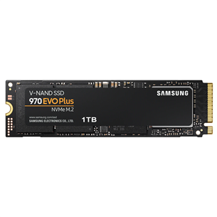 Kietasis diskas Samsung SSD 970 EVO Plus M.2 (1 TB)