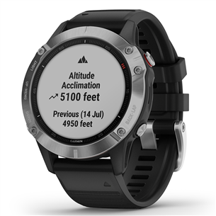 Išmanusis laikrodis Garmin fēnix 6s Standard, GPS, Silver/Black