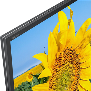 Televizorius Sony KD75XG8096BAEP