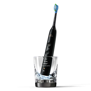 Elektrinis dantų šepetėlis Philips Sonicare HX9901/13