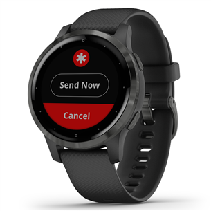 Išmanusis laikrodis Garmin Vivoactive 4S, Black/Slate