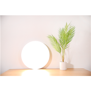 Išmanioji lubinė lemputė Xiaomi Mi LED 20369