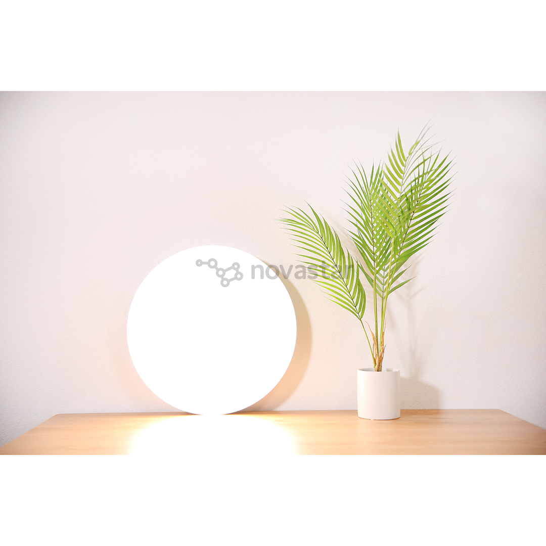 Išmanioji lubinė lemputė Xiaomi Mi LED 20369