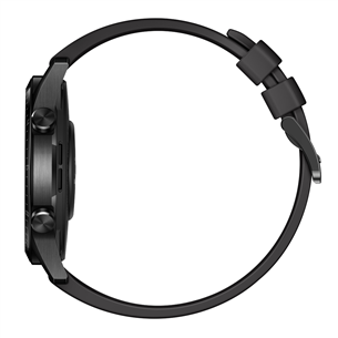 Išmanusis laikrodis Huawei Watch GT 2, Black