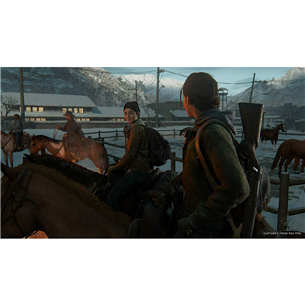 Žaidimas PS4 The Last of Us Part II