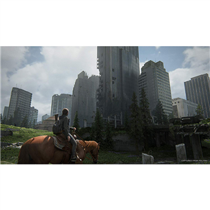Žaidimas PS4 The Last of Us Part II